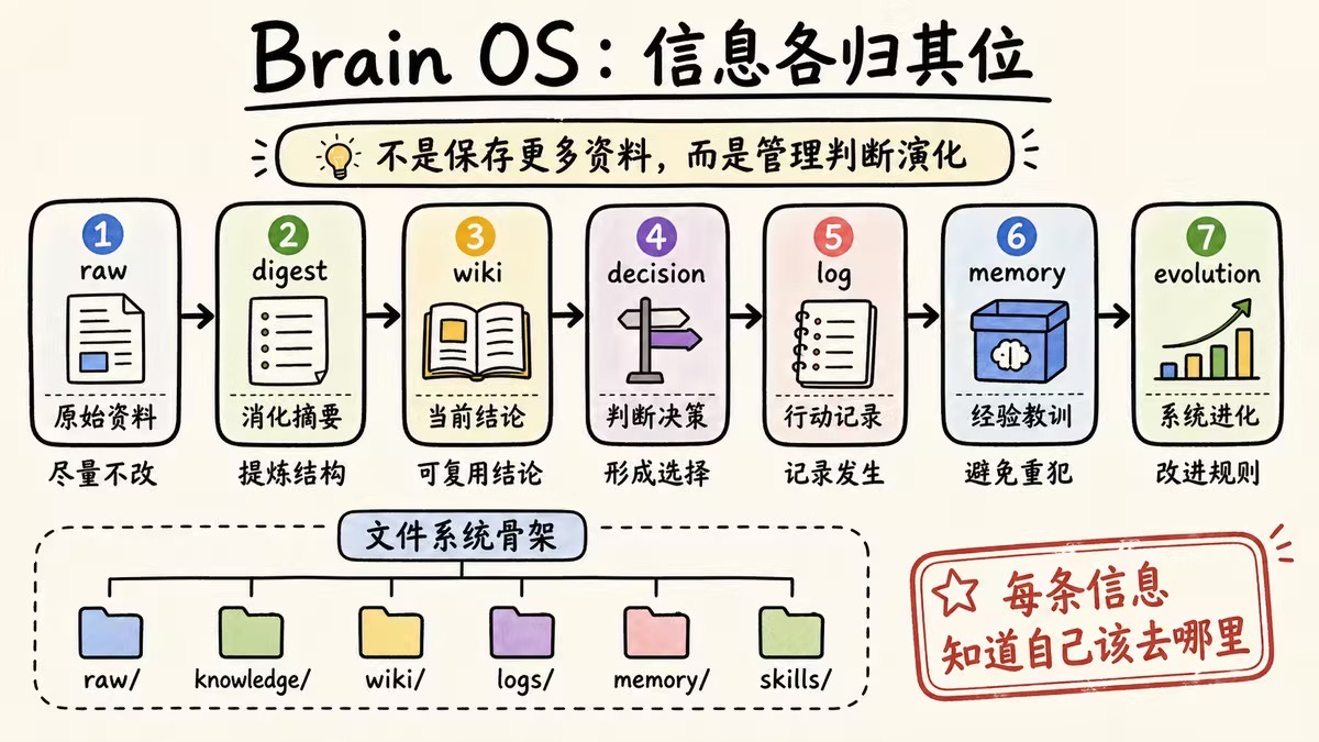 Brain OS 信息各归其位：raw、digest、wiki、decision、log、memory、evolution 分层流转