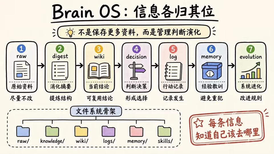 Brain OS 信息各归其位：raw、digest、wiki、decision、log、memory、evolution 分层流转